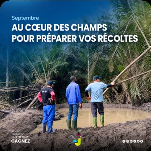 Jogoo Agriculture 2