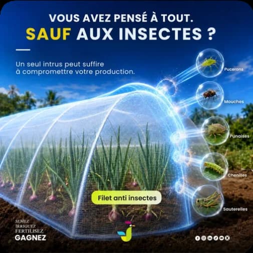 Jogoo Agriculture 4
