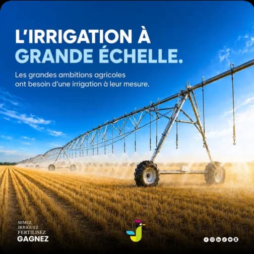 Jogoo Agriculture 5