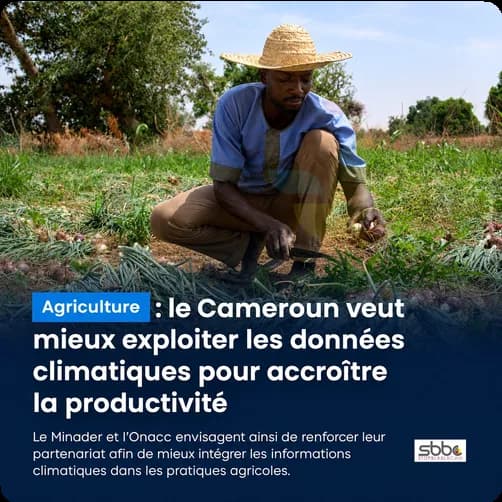 Jogoo Agriculture 6